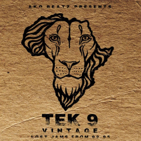 AKO BEATZ PRESENTS: TEK 9 - LOST JAMS FROM 92-96 (AKOBLP005) DIGITAL
