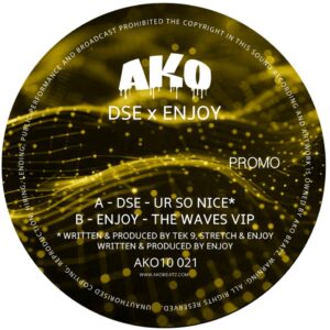 AKO10 SERIES PRESENTS: DSE/ENJOY - UR SO NICE / THE WAVES VIP - BLACK VINYL (AKO10021)